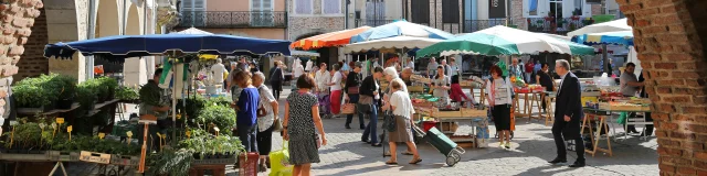 Marche Traditionnel