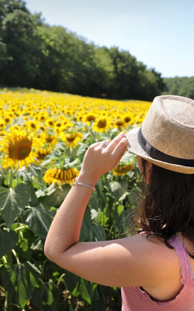 Paisaje Girasoles Lot Et Tolzac Jerome Morel 1.jpg