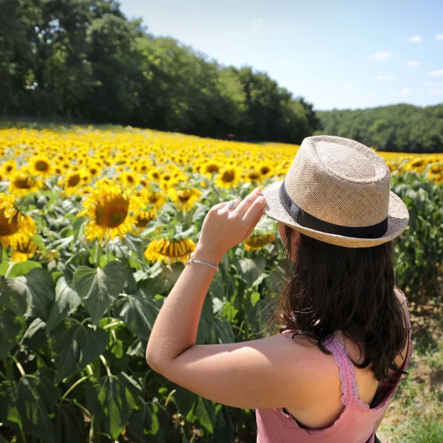 Landscape Sunflowers Lot Et Tolzac Jerome Morel 1.jpg