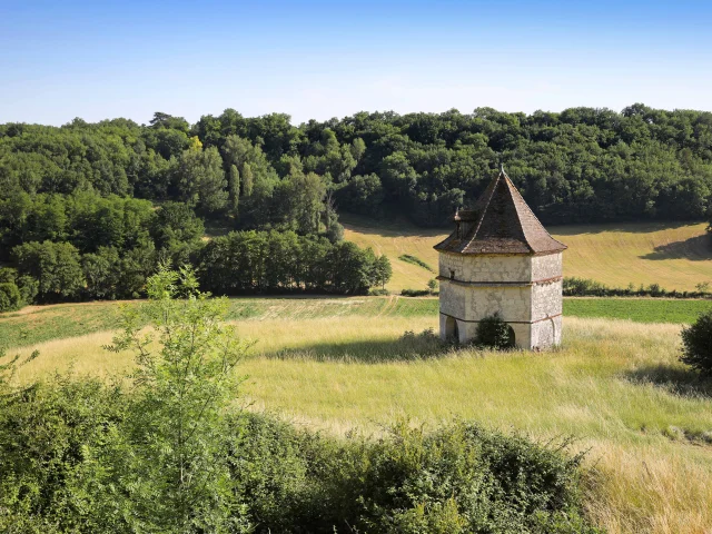 Pigeonnier Guirot Castella Jerome Morel 1