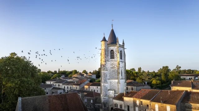 Tour d'Hautefage-la-Tour