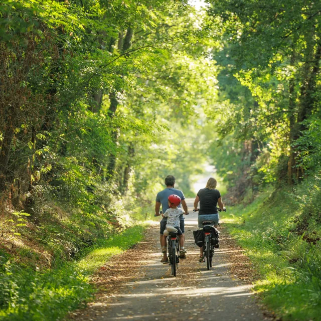 Velo Voie Verte Cedric Vlemmings 3 Min