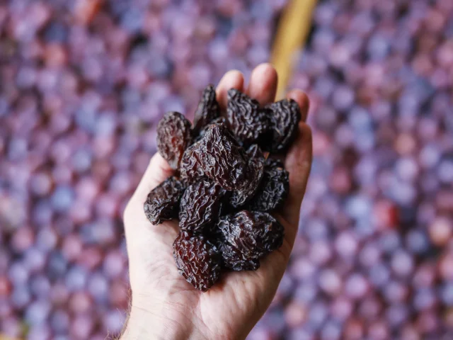 P34 35 Prunes Cedric Vlemmings 1 Min