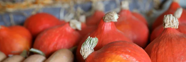 Fruits And Vegetables Ferme Des Tuileries Fongrave Jerome Morel 2021 17 Min